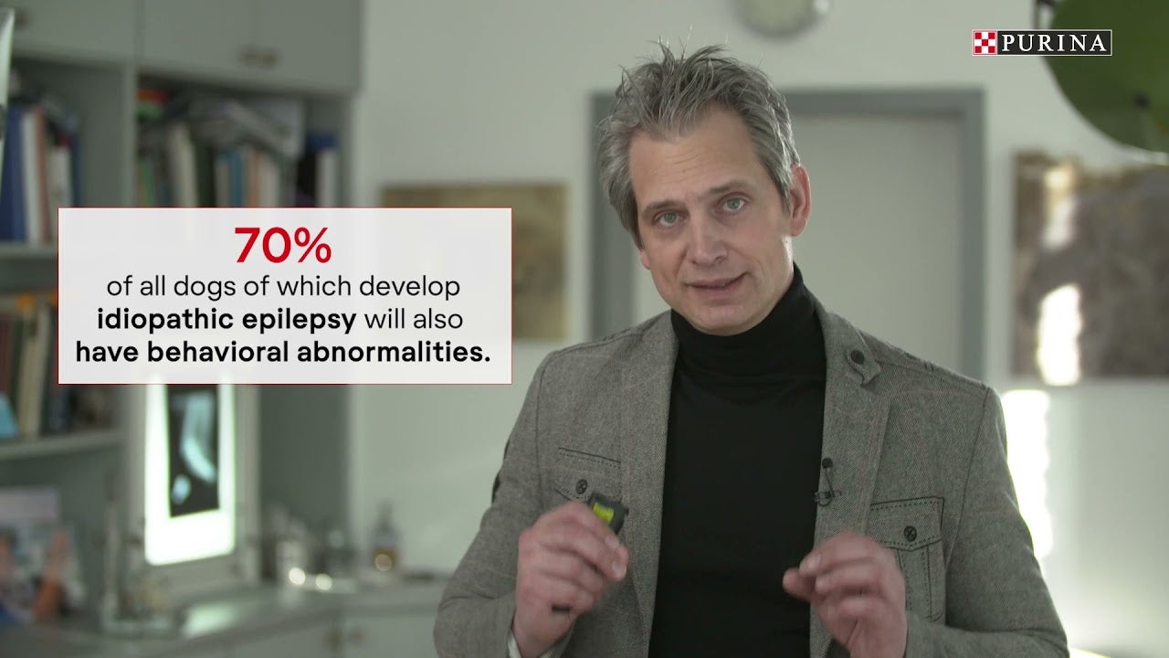 Kort kasusrapport fra Dr. Holger Volk (Tyskland) med PRO PLAN-produktet NeuroCare, en av Purinas største innovasjoner.