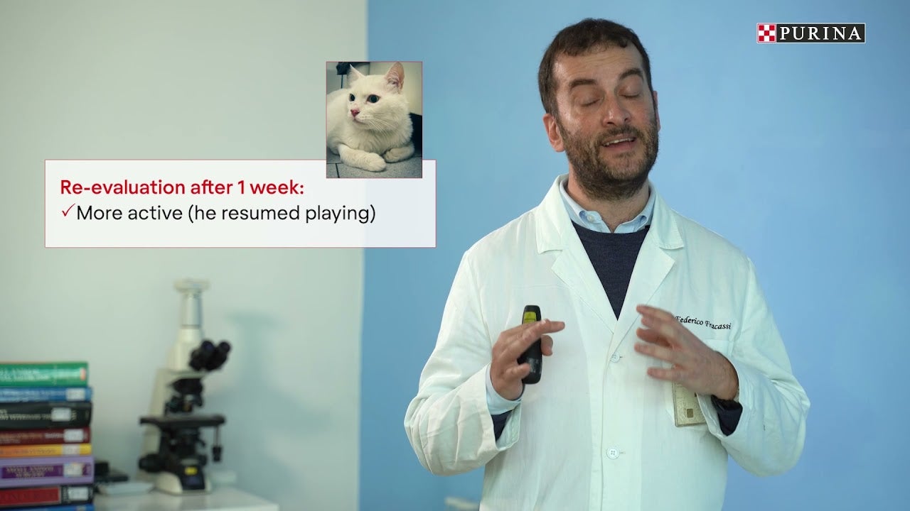 Kort kasusrapport fra Dr. Federico Fracassi (Italia) med PRO PLAN-produktet DM Diabetes Management