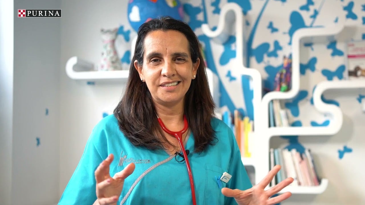 Life Is Our Laboratory: Managing Chronic Enteropathies With Stan Marks, BVSc, PhD