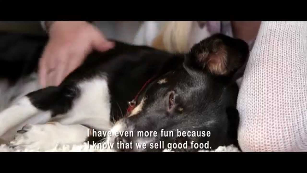 Kjæledyr og mennesker er bedre sammen | Møt Purina