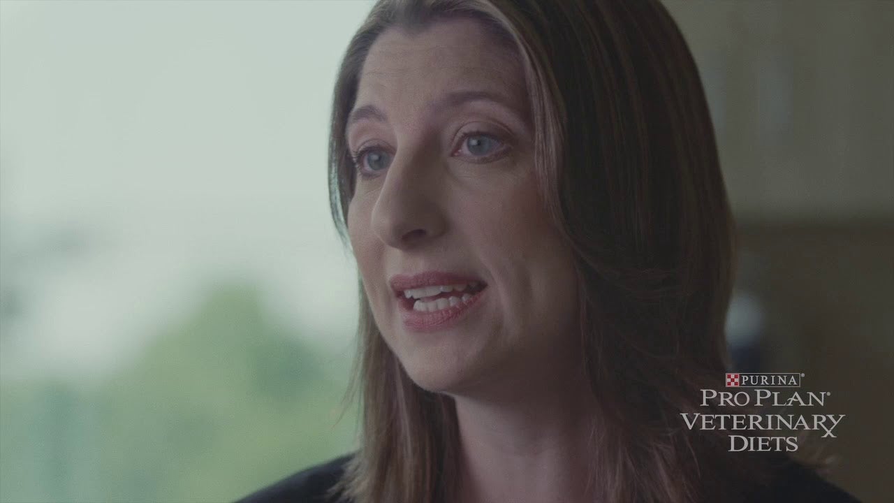 Modulating The Gut Microbiota